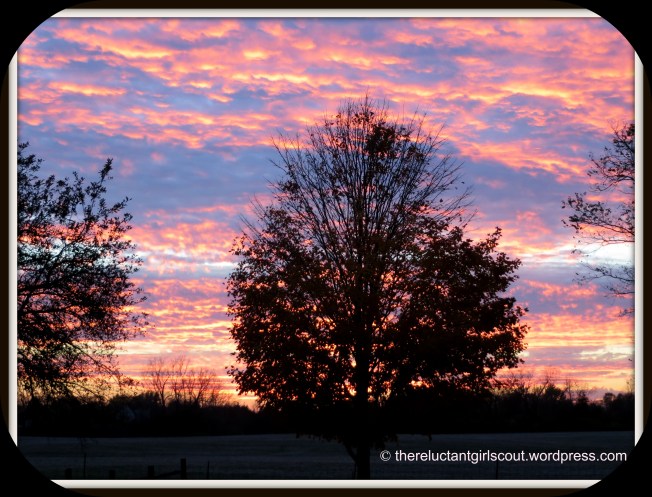 Sunset from my folks' backyard. 