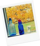 RGSAutumnBlueBottles