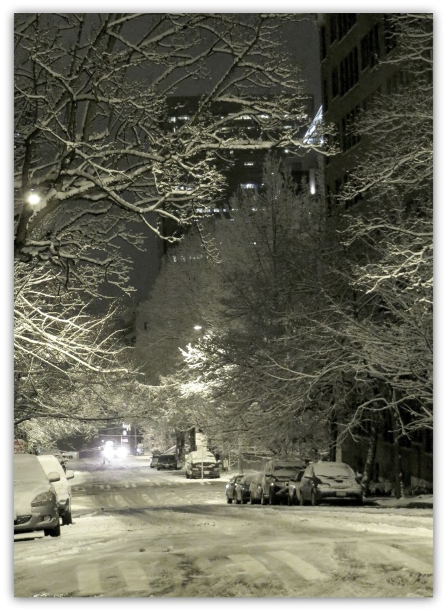 Seattle Snow on Spring