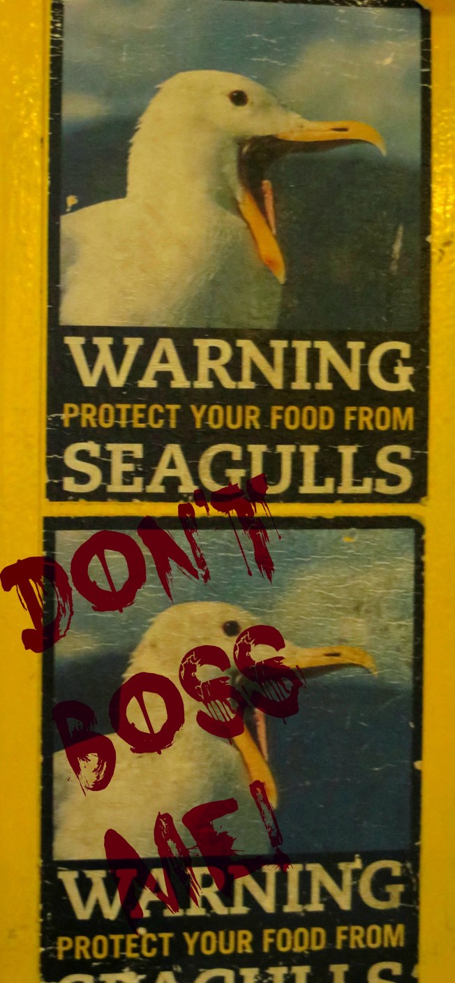 rgsseagullstickerwords