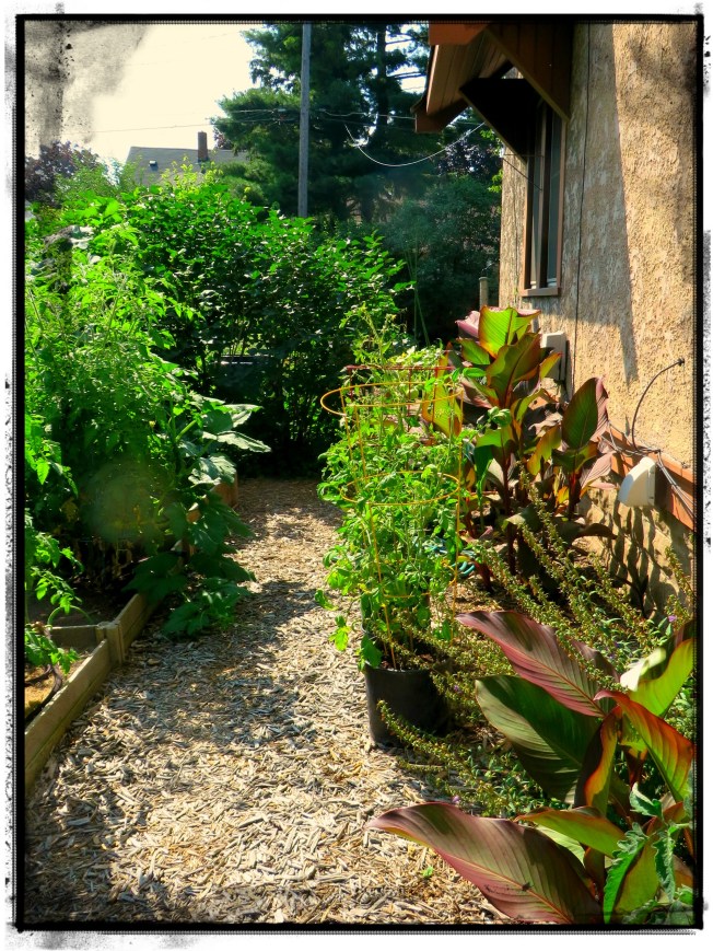 Path into McGregor's Garden