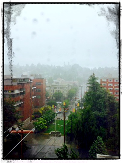 Capitol Hill in the rain