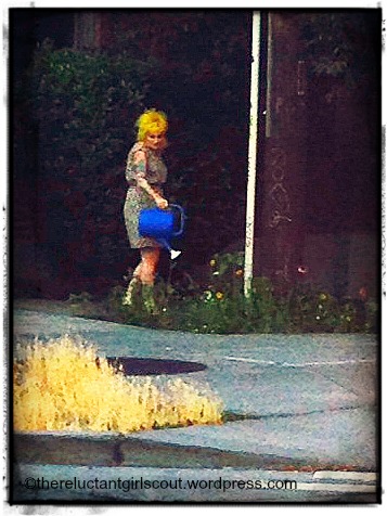 A local gardener attempts to make the place more colorful. 