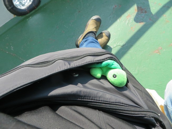 rgsShellEonferry2015