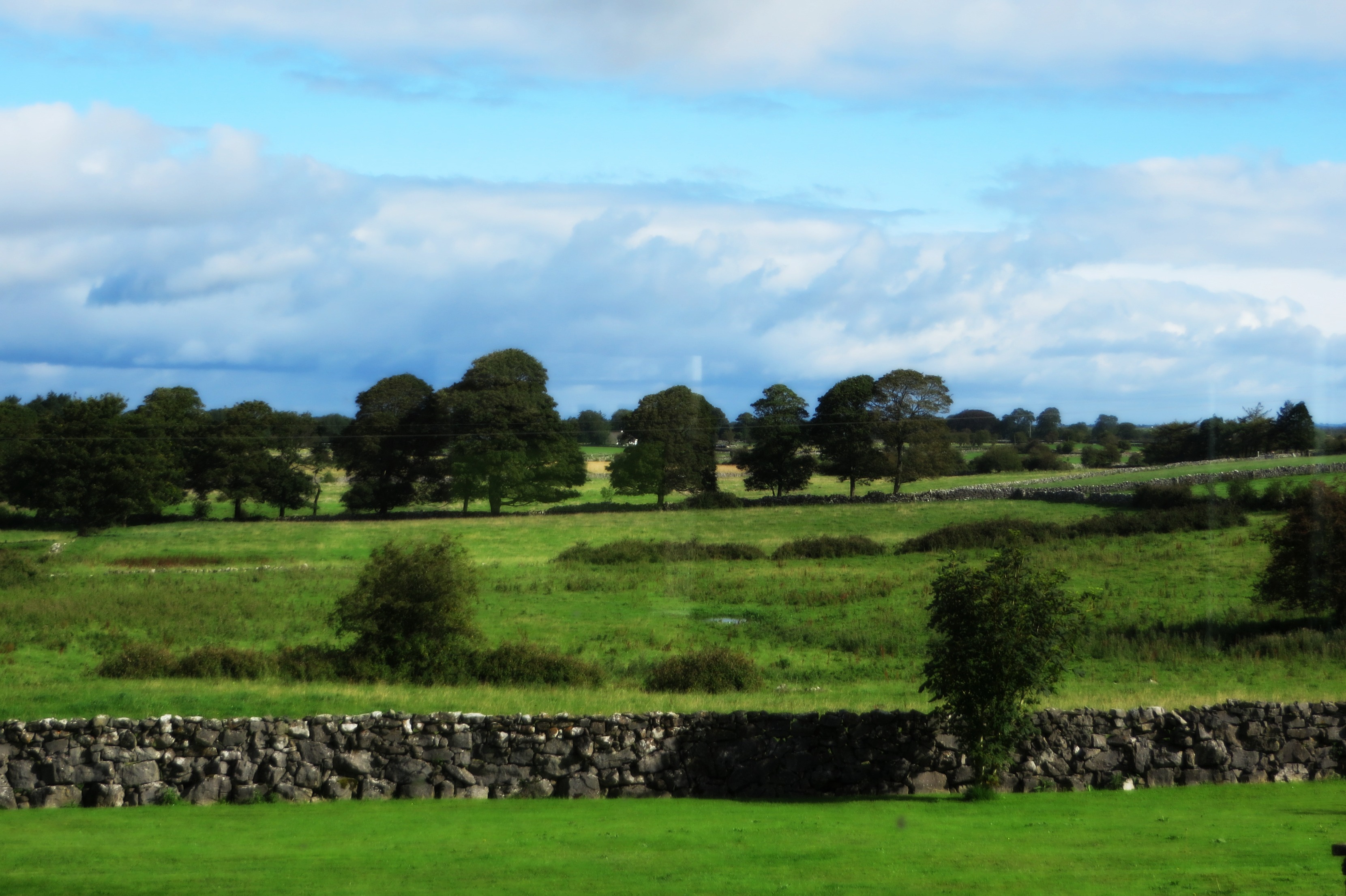 RGSCaherlistraneview