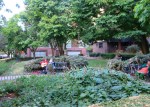 rgsfirsthillpark