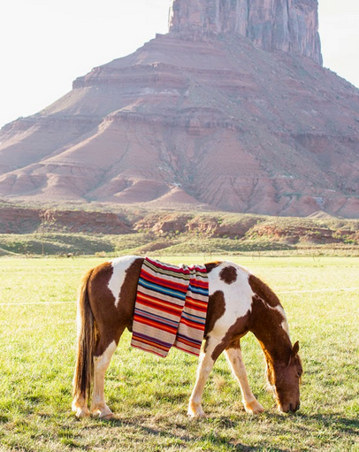 screen-shot-2017-02-24-at-1-20-51-pm