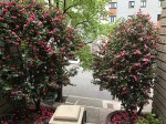 IMG_0684 2