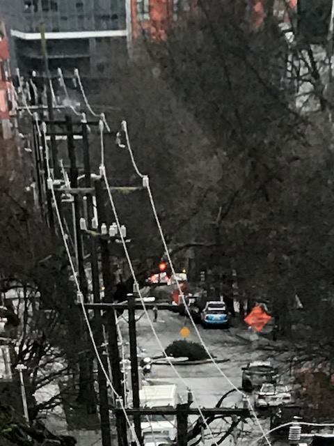 Urban tree-lined street with distant red ambulance light, power lines. 

